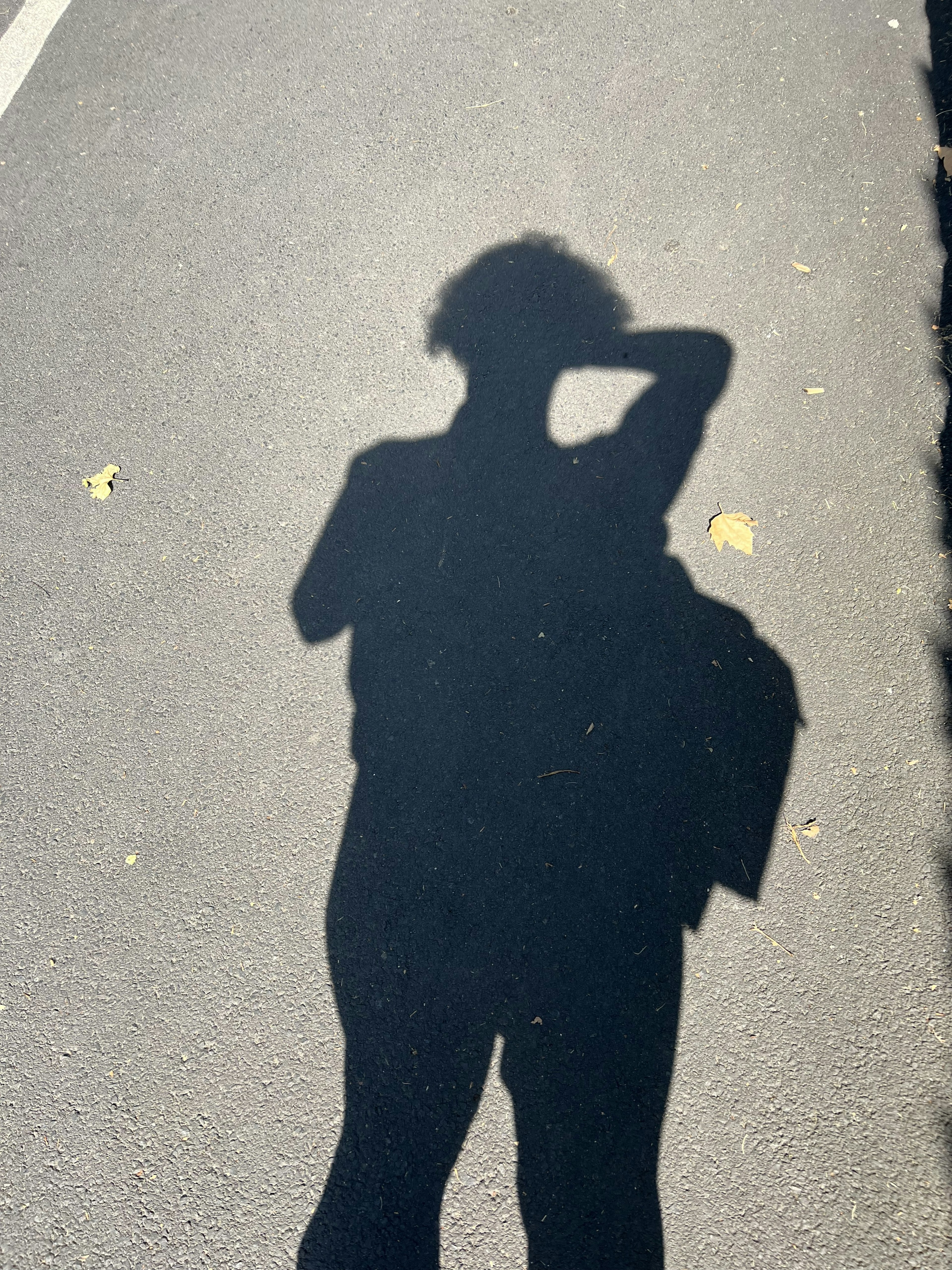 Picture of my shadow on a sunny day, I'm carrying a totebag and run my hand through my hair.