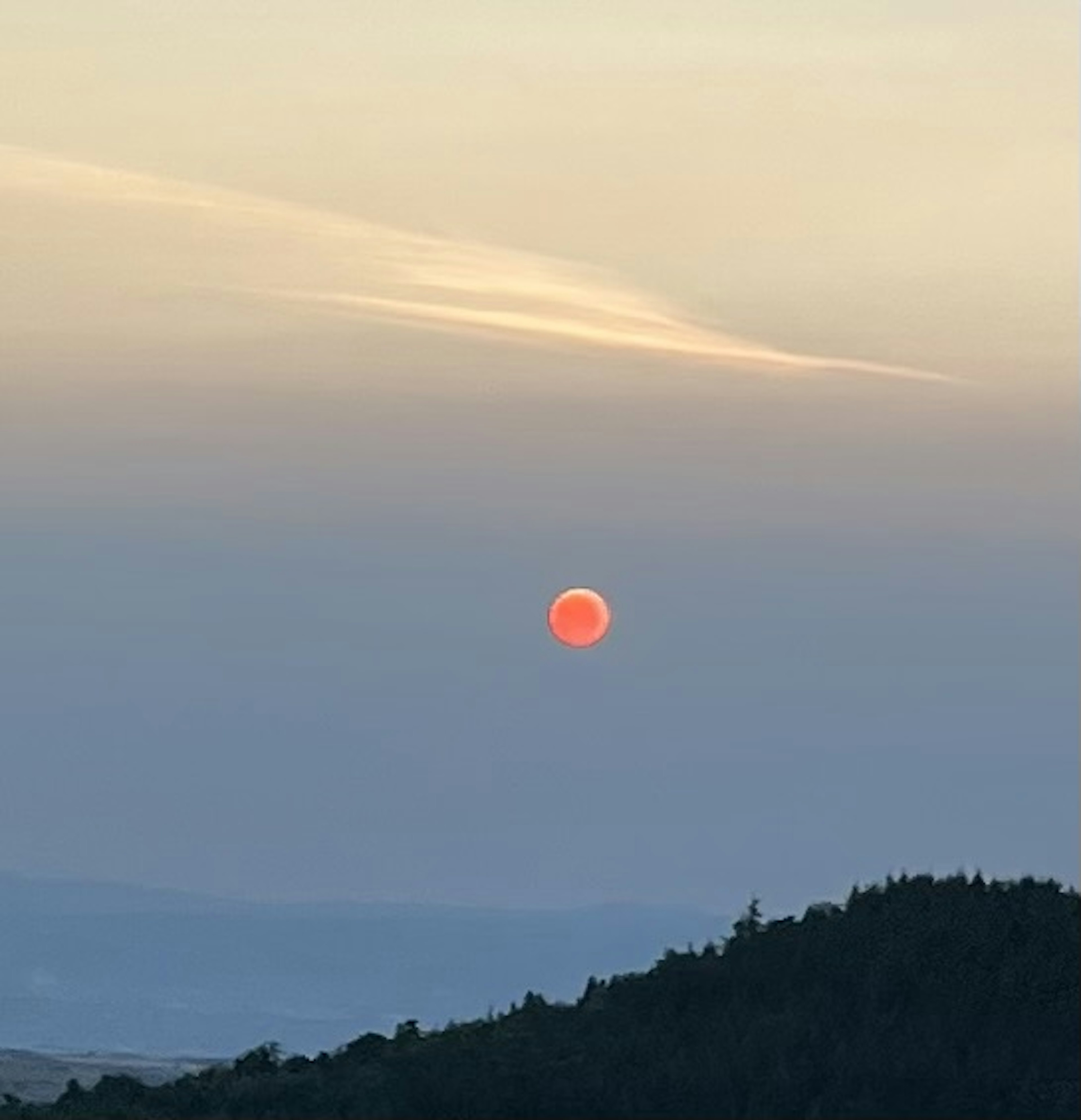 Picture of a hill filled with trees, on top of which stands a red moon.